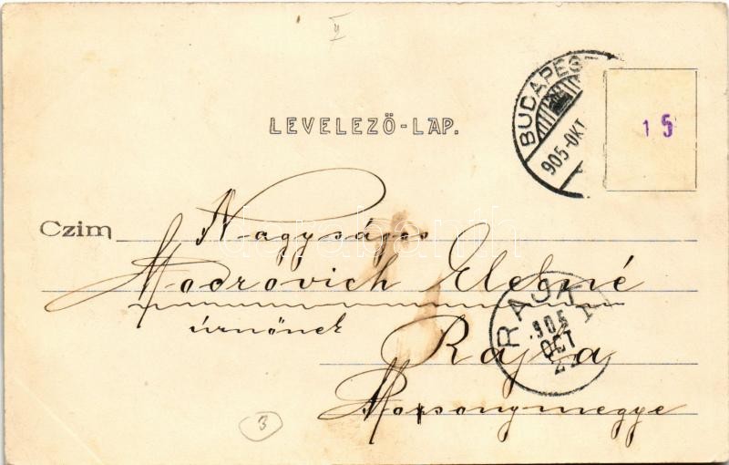 1905 Budapest II. Széna tér, gyógyszertár, hintók, üzletek, Gizella kávéház (EK) - Image 2