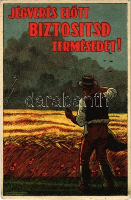 Jégverés előtt biztosítsd a termésedet! Magyar mezőgazdasági propagandalap. Bruchsteiner és fia. Ez a levelezőlap öt írott szóval bélyeg nélkül elküldhető / Hungarian agricultural propaganda card against hailstorms