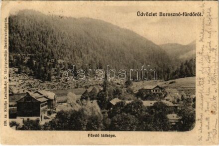 1907 Borosznó-fürdő, Brusznó, Brusno-kúpele; fürdő látképe. Lechnitzky Otto fénynyomdája kiadása / spa, bath (r)
