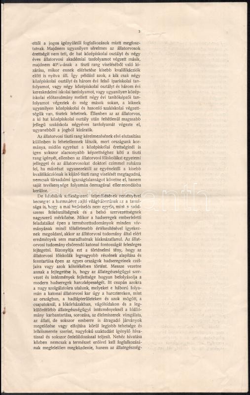 1917 Magyar Állatorvos Egyesület előterjesztése hat oldal - Image 3