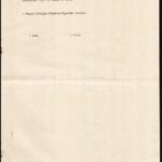 1917 Magyar Állatorvos Egyesület előterjesztése hat oldal - Image 4