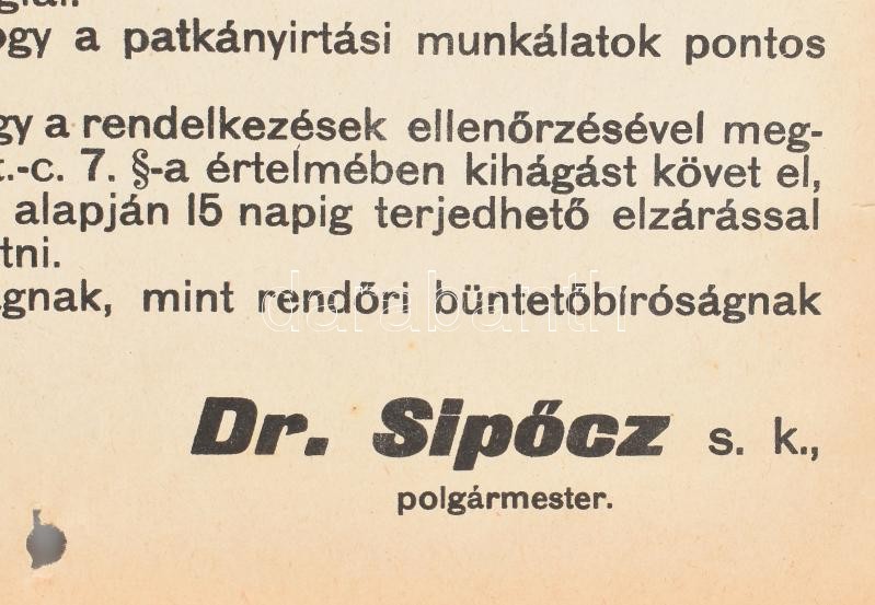 1931 Budapest, patkányirtás falragasz. 43x32 cm - Image 2