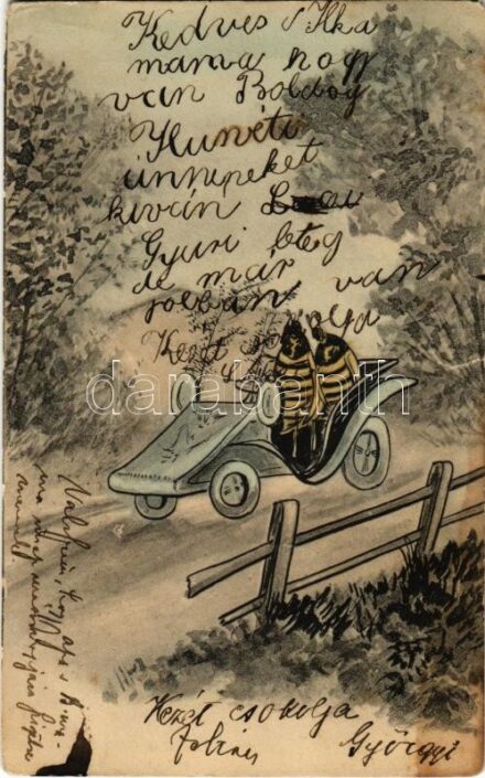 Bogarak autóban / Bugs driving automobile (EK)