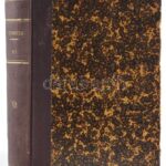 Az 1871-ik évi törvények gyűjteménye. Hivatalos kiadás. Pest, 1872., Ráth Mór, VI+734 p. Átkötött félvászon-kötés, kissé kopott borítóval. - Image 2