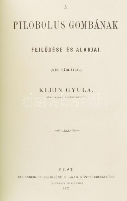 Klein Gyula: A pilobolus gombának fejlődése és alakjai. Két táblával. Pest, 1871. Eggeberger. 16 p + 2 t. kőnyomat. Modern papírkötésben.