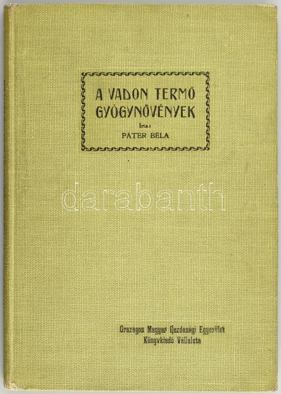 Dr. Páter Béla: A vadon termő gyógynövények. 74 ábrával Bp., 1912. Pátria. Kiadói, restaurált egészvászon kötésben. 147 p . + (5) p. reklámok. Ritka!