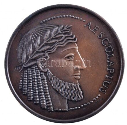 Bakos Ildikó (1948- ) ~1990. 'Aesculapius / Chinoin Hungaria - Condita 1910' bronz emlékérem, eredeti tokban T:1