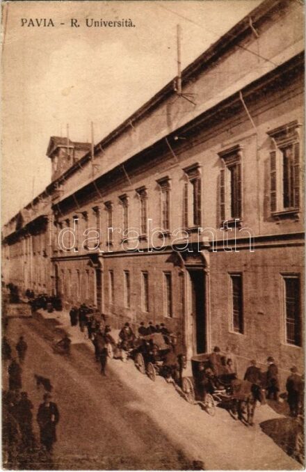 Pavia, R. Universita / university (EK)
