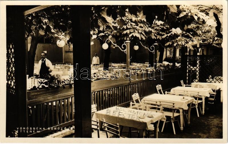 Budapest I. Vörös Béka söröző és étterem kertje, Tulajdonos özv. Pesznecker Károlyné. Krisztina körút 109.