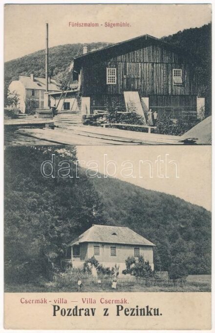 1919 Bazin, Bösing, Bözing, Pezinok; Fűrészmalom, Csermák villa. Kautny Imre kiadása / Sägemühle, Villa Csermák / sawmill, villa + 'Csl. Pesí Pluk C. 108. 7. polní setnina' (fl)