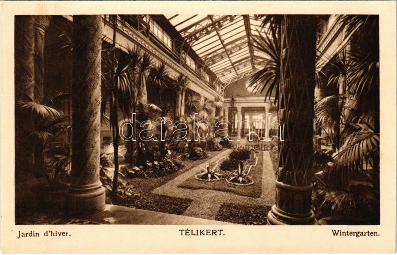 Budapest XI. Szent Gellért gyógyfürdő és szálló, belső, téli kert