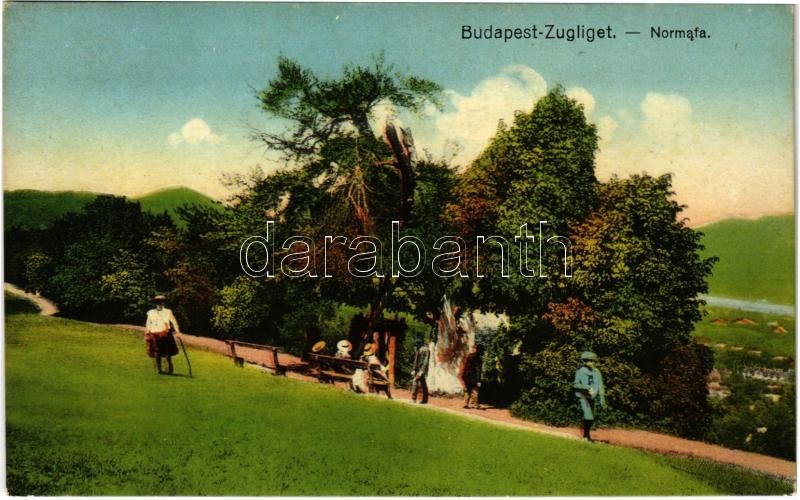 Budapest XII. Zugliget, Normafa