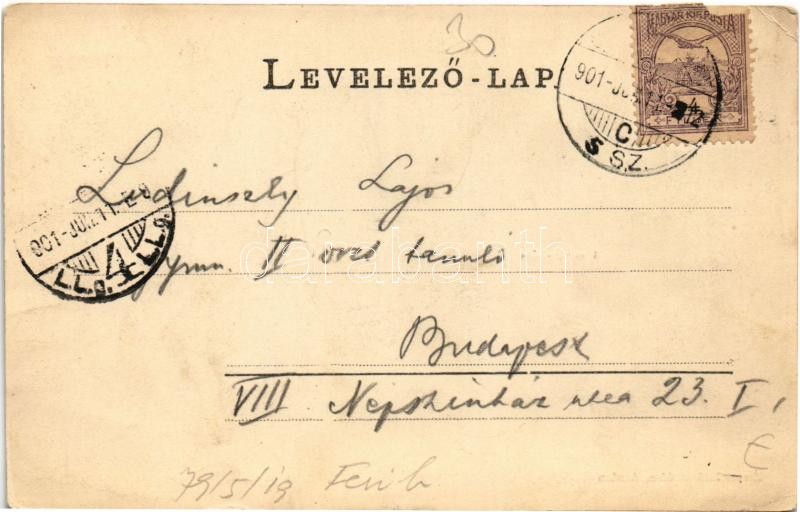 1901 Arad, Megyeháza. Kerpel Izsó kiadása / county hall. Art Nouveau, floral (EK) - Image 2