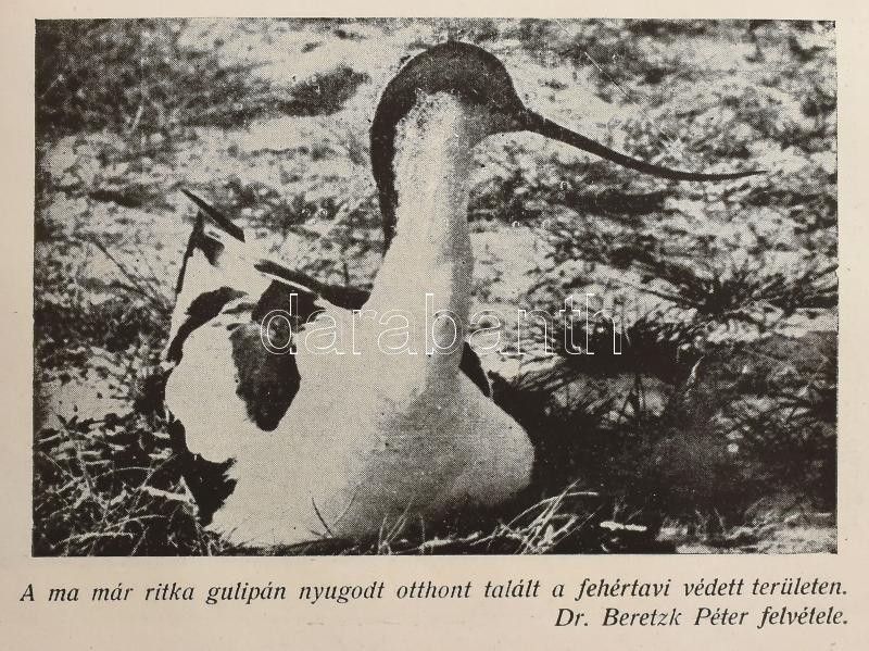 Vadász zsebnaptár 1946-47. szerk Méray László. Kiadói félvászon kötésben. - Image 3