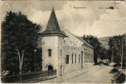 1916 Nagymaros, Zöldfa utca, Bagi villa (r)