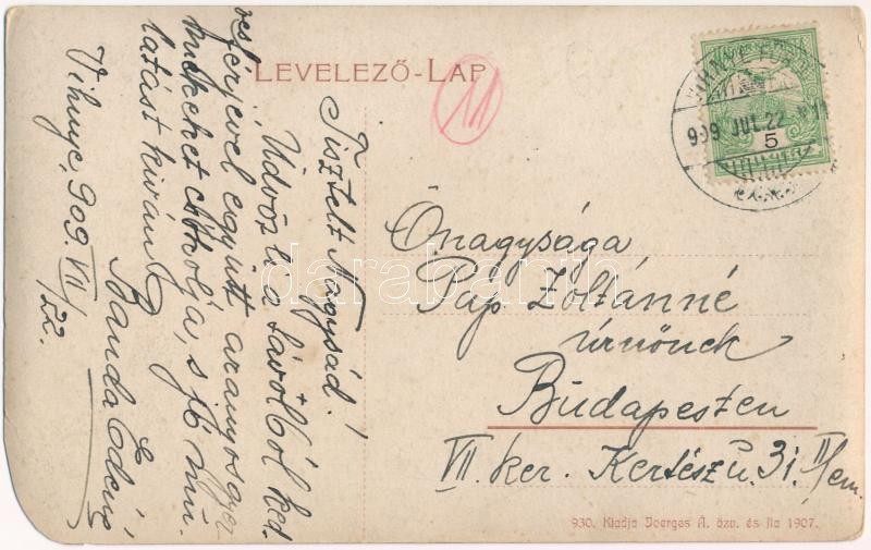1909 Vihnye, Vihnyefürdő, Kúpele Vyhne; Joerges Á. özv. és fia 930. 1907. (b) - Image 2