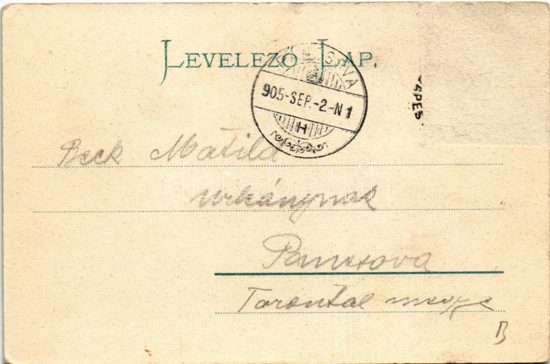 1905 Csáktornya, Cakovec; látkép. Fischel Fülöp (Strausz Sándor) kiadása / general view (Rb) - Image 2