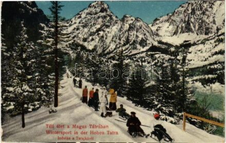Tátra, Magas-Tátra, Vysoké Tatry; Téli élet, Indulás a Tarajkáról, szánkózók / winter sport in Hrebienok, sledding start