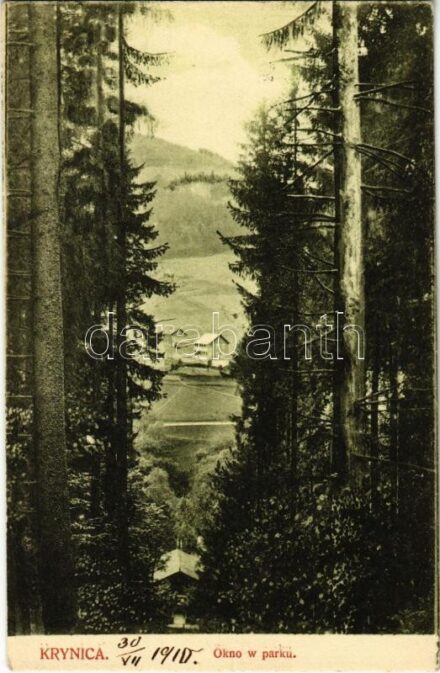 1910 Krynica, Krynica-Zdrój; Okno w parku / Park. Fénynyomat Divald K. Fia műintézetéből / park (Rb)