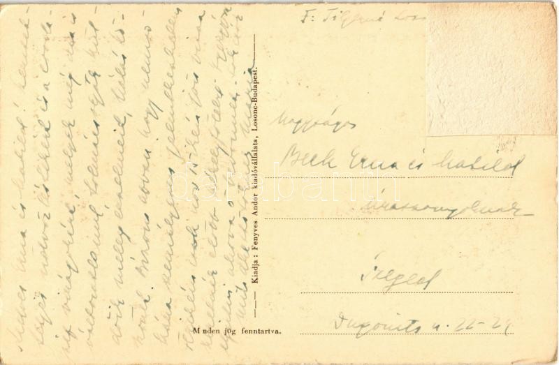 Losonc, Lucenec; részlet az Országzászlóval. Fenyves Andor kiadása / Hungarian flag (Rb) - Image 2