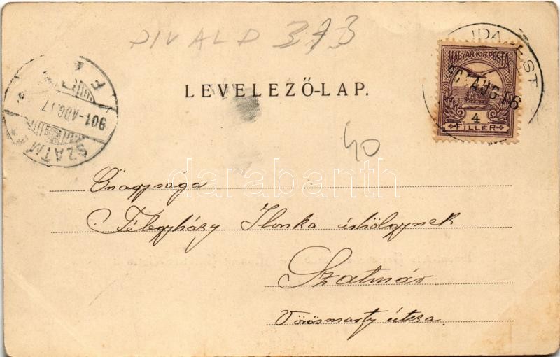 1901 Budapest XI. Kelenföld, Mattoni-féle Erzsébet Sósfürdő. Divald Károly kiadása (fl) - Image 2