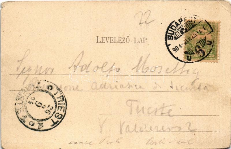 1904 Budapest V. Eskü utca, Váci utca, REX üzlet. Divald Károly 578. sz. (EM) - Image 2