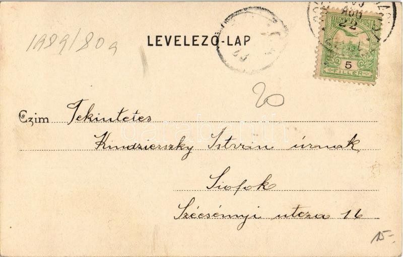 1905 Isaszeg, Honvéd emlékmű. Divald Károly kiadása (fl) - Image 2