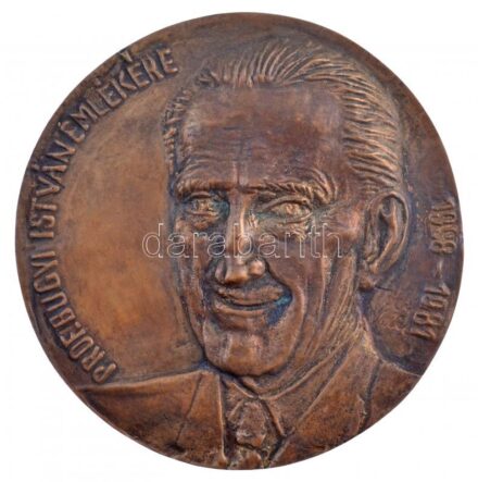 Tóth Valéria (1943- ) DN 'Prof. Bugyi István emlékére 1898-1981' egyoldalas, öntött bronz emlékérem (116mm) T:1- kis patina