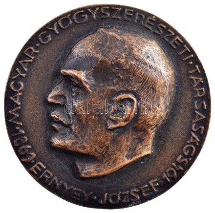 ~1945. 'Magyar Gyógyszerészeti Társaság - Ernyey József 1869-1945 / Gyógyszerésztörténeti Munkásságáért' kétoldalas, öntött bronz emlékérem (78mm) T:1-