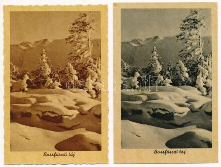 4 db RÉGI erdélyi Weinstock képeslap: Borsa és Gangaló / 4 pre-1945 Transylvanian postcards