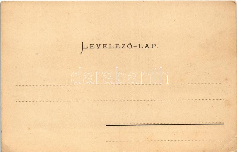 Budapest I. Az új királyi vár és jobbparti részlet, gőzhajó. Ganz Antal 120. (EK) - Image 2