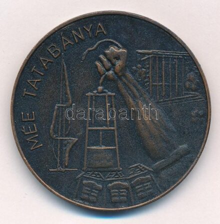 1982. 'MÉE Tatabánya' bronz emlékérem (48mm) T:1-