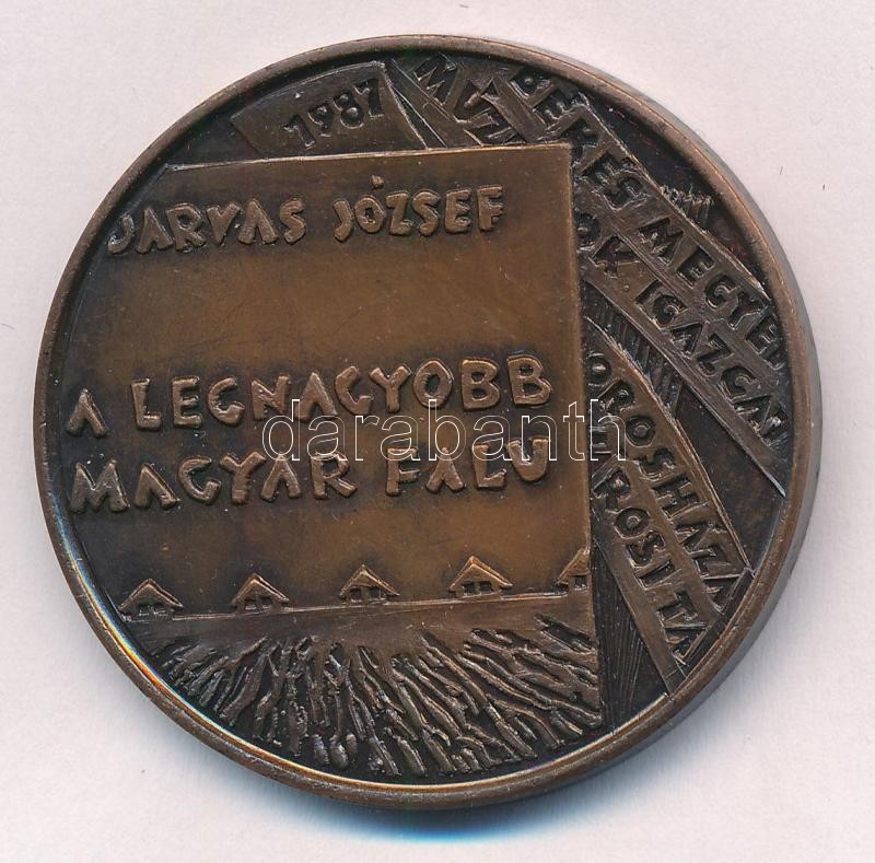Rajki László (1939-) 1987. 'Darvas József - A legnagyobb magyar falu / 75 éve született' bronz emlékérem (42,5mm) T:1- - Image 2