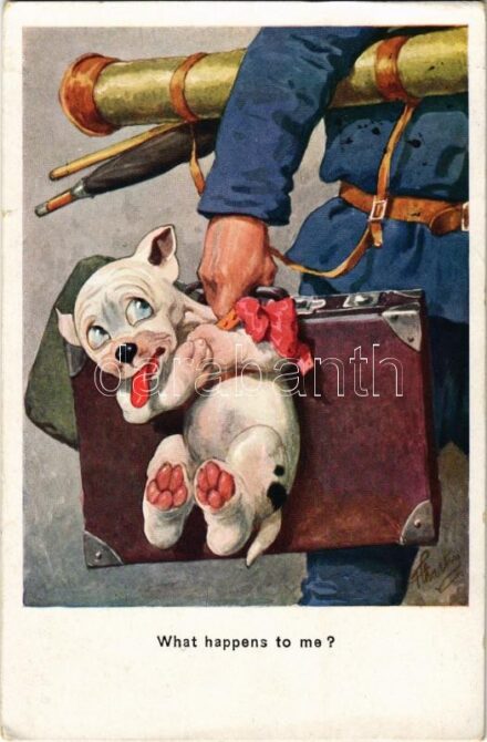 1930 What happens to me? B.K.W.I. XXIX-2. artist signed (EK)