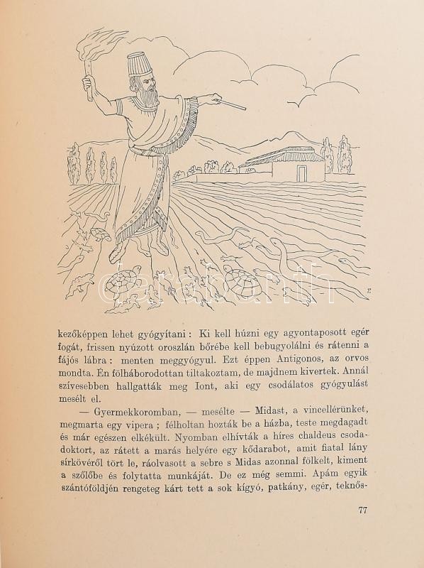 Révay József: Raevius ezredes utazása. Bp.,én.,Franklin. Kiadói enyhén kopott illusztrált félvászon-kötés. - Image 2