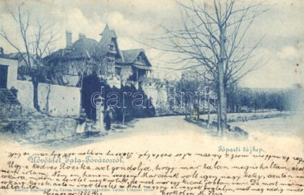 1899 Tata-Tóváros, Tópart, kiadja Englände és társa (Rb)