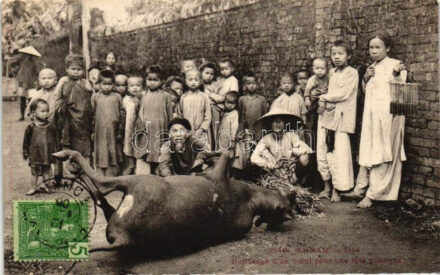 Hué, Rotissage d'un boeul pour une lete publique / Roasting of an ox (EK)