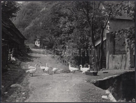 1956. július, Dr. Sevcsik Jenő (1899-1996): Királylehota (Szlovákia), feliratozott, aláírt vintage fotóművészeti alkotás, 18x24 cm