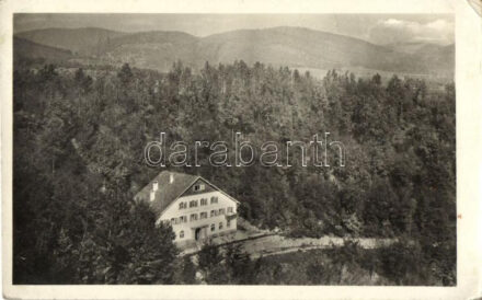 11 MODERN magyar városképes lapok, több fekete fehér képeslap, s több balatoni városképes lap, vegyes minőségű / 11 modern Hungarian postcards, more black and white postcards, more lake Balaton, mixed quality