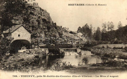 Vieux-Vy-sur-Couesnon, Vieuxvy; Saint-Aubin-du-Cormier, Mine d'Argent / silver mine (fl)