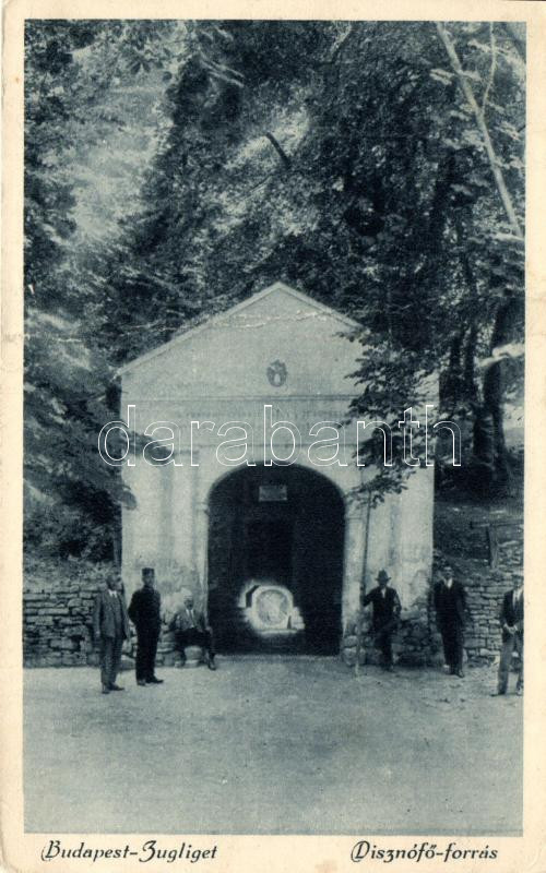 Budapest XII. Zugliget, Disznófő-forrás (fa)
