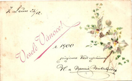 Flowers, litho