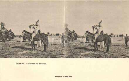 Biskra, Chasse au Faucon / Algerian hunter with falcon, folklore