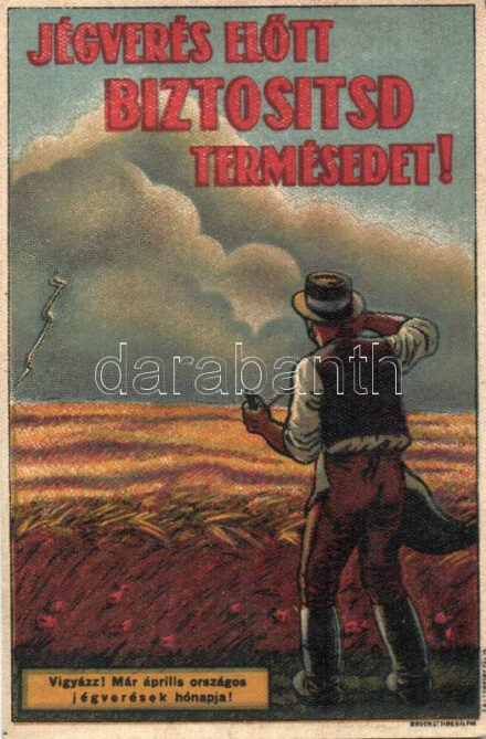 Jégverés előtt biztosítsd a termésedet! mezőgazdasági hirdetmény, Bruchsteiner és fia / Hungarian agricultural insurances propaganda