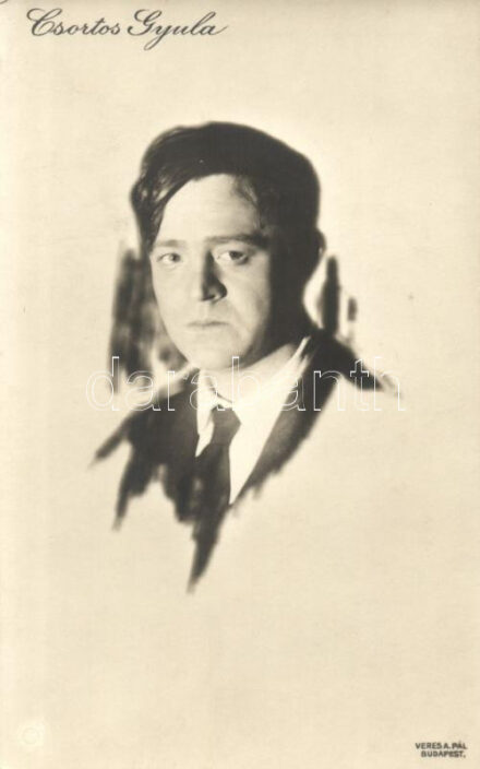 Csortos Gyula
