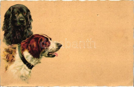 Dogs (pinhole)