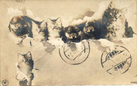 Dogs, cats, (EB)