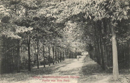 Heinitz, Königliche Steinkohlenbergwerk, Partie aus dem Park / Royal Coal Mine, park detail (fa)