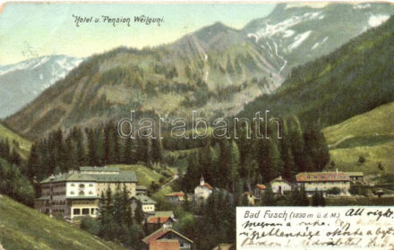 Bad Fusch, Hotel u. Pension Weilguni / Hotel (EM)