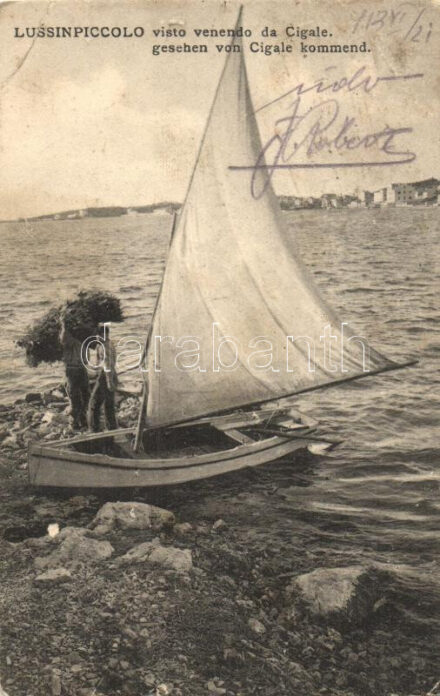 Mali Losinj, Lussinpiccolo; Cigale (b)